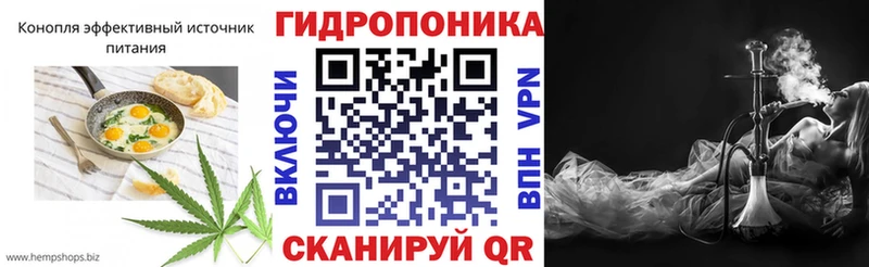 где можно купить   Новотитаровская  мега зеркало  Еда ТГК марихуана 