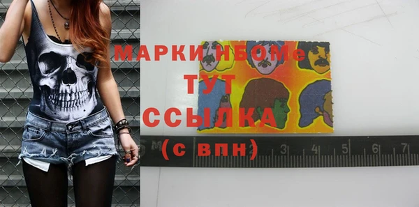 индика Володарск