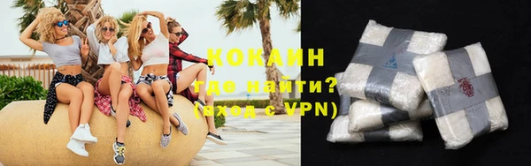 индика Володарск