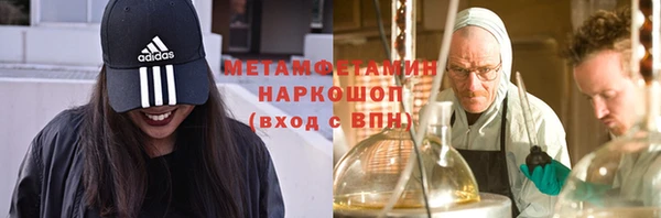 индика Володарск