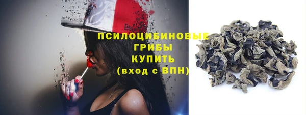 шишки Волоколамск