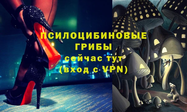 2c-b Верея