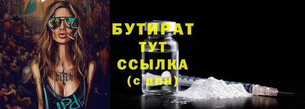 индика Володарск