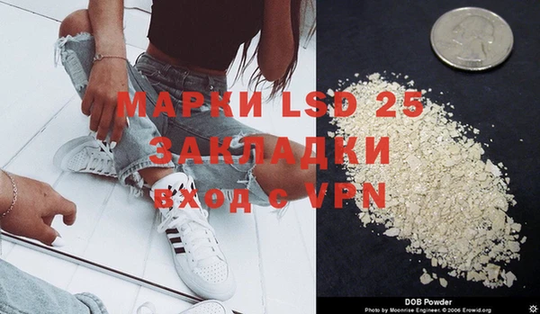 индика Володарск