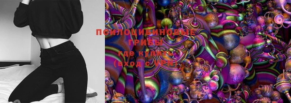 индика Володарск