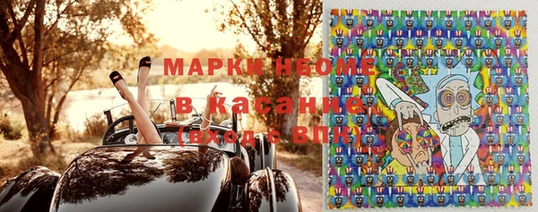 индика Володарск